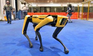 سگ رباتیک
