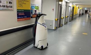 پنگوئن رباتیک